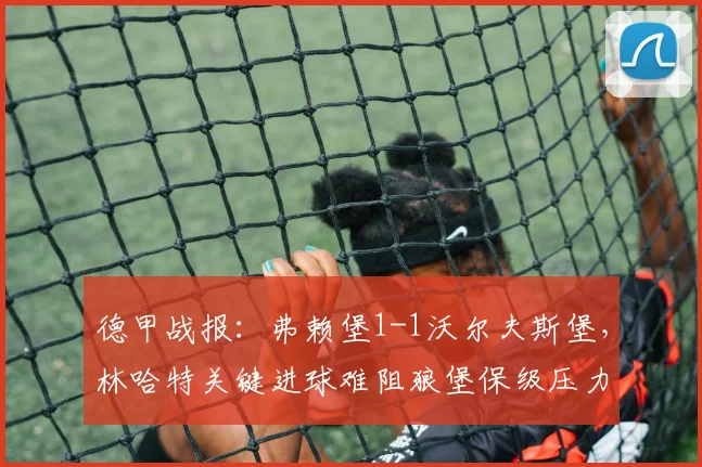 德甲战报:弗赖堡1-1沃尔夫斯堡,林哈特关键进球难阻狼堡保级压力陡增